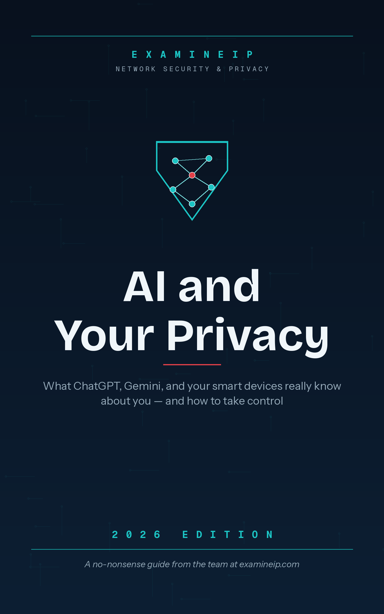 AI and Your Privacy