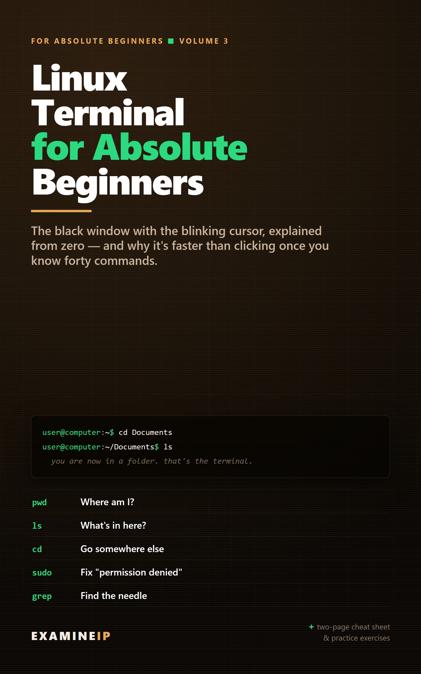 Linux Terminal for Absolute Beginners